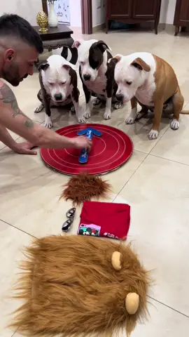 Dog divertenti ed intelligenti 🧐 🐶🐶#kira_family #dog #dogtok #smartdog 