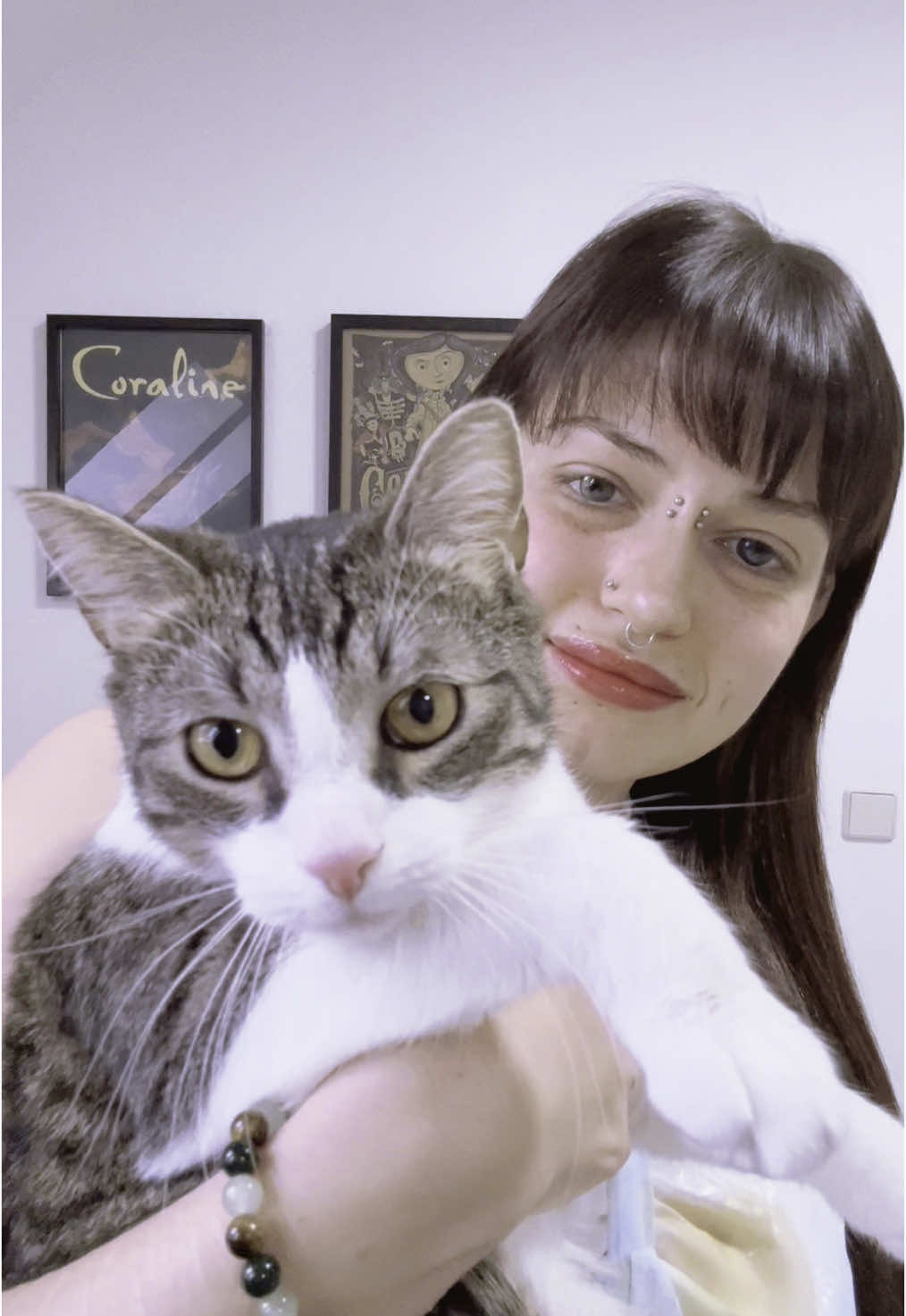 ToothLess The Cat ✨ #toothless #toothlessthecat #cat #catvideo #catmom #kitty #cutekitty #catoftiktok #cuteanimal #cutegirl #ulzzang #ulzzanggirl #ulzzangstyle #Love 