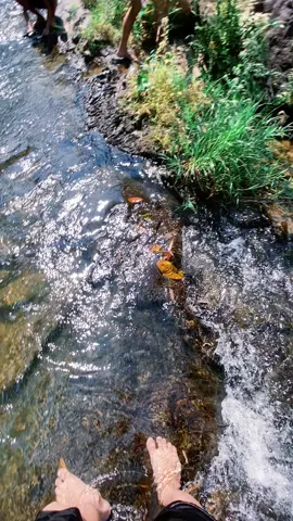 Nhạc chillll 😇😇#xhhhhhhhhhhhhhhhhhhhhhhh #disuoi 