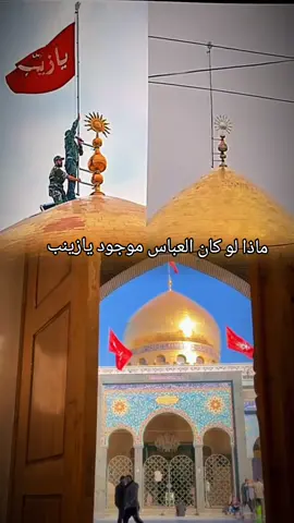 يازينب يابنت امير المؤمنين 