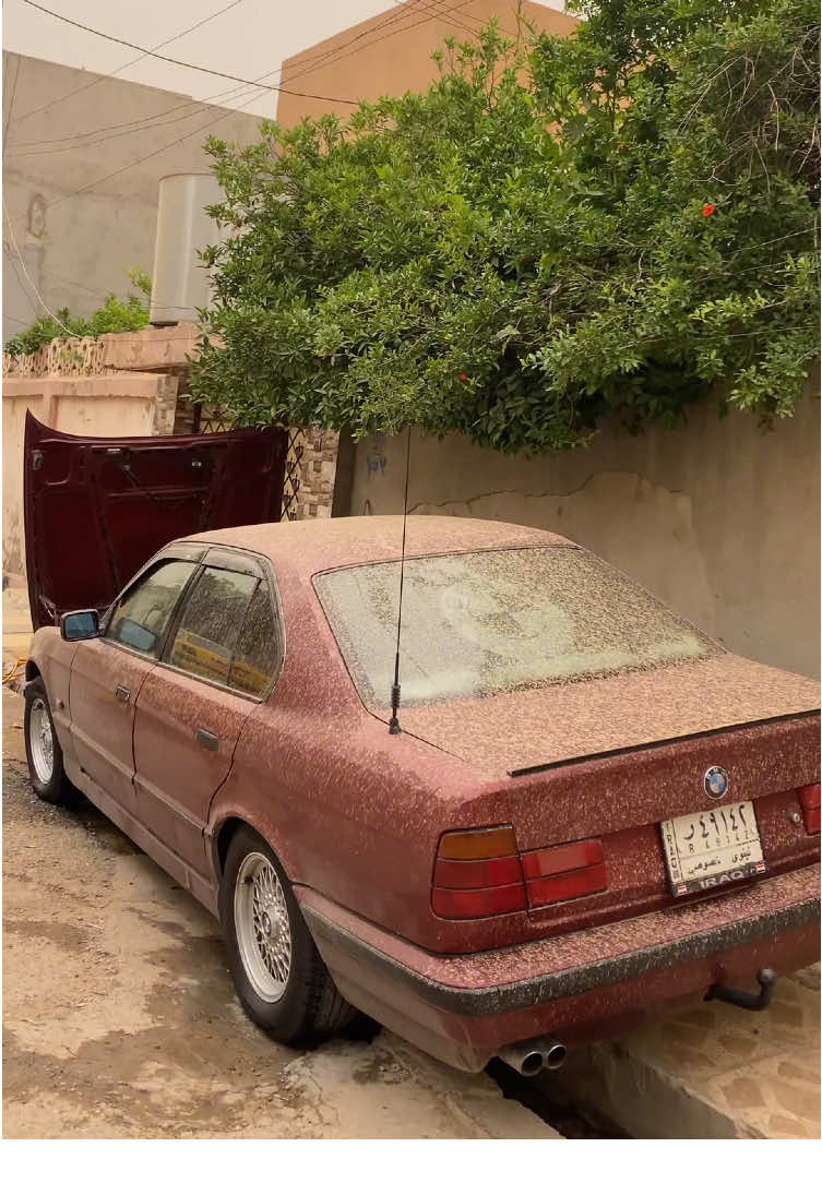 #bmw #v6 #المرعبه #iraq #mousl #تجمع_سيارات_رياضيه #تراب #تصوير #دم_الغزال #capcut #tiktok #car  حلال العم @حـ᭄᭄❀͜ـمودي #غيم 