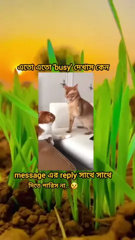দুষ্ট প্রেকিক 🦋🖤 #fyp #foryou #foryoutrick#viraltrick#foryoupage #bdtiktokofficial  #riply_video #সবাই_কপিলিংক_করো_প্লিজ #সবাই_একটু_সাপোর্ট_করবেন_প্লিজ 