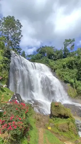Curug Cikondang adalah air terjun dengan curug dengan aliran yang deras, Curug Cikondang juga memliki julukan Niagara mini versi bumi Parahyangan, hal itu karena bentuknya yang melebar sepanjang 30 meter dengan tinggi mencapai 50 meter.Selain itu di bawah Curug Cikondang juga terdapat beberapa air terjun kecil yang menambah daya tarik dan keindahan panorama tempat wisata ini. Harga tiket masuk Curug Cikondang adalah Rp 10.000 per orang. Untuk parkir kendaraan, ada biaya tambahan Rp 5.000 untuk motor dan Rp 10.000 untuk mobil.  #curugcikondang  #fypage 