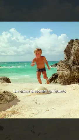 #movie #fyp #foryou #tiktok 