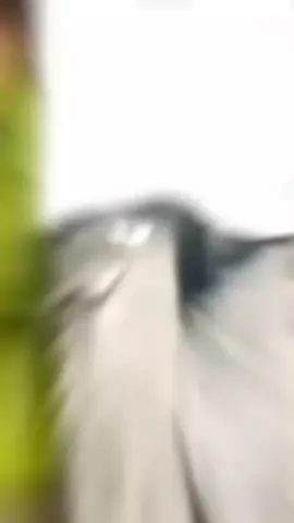 #goviraltiktok 