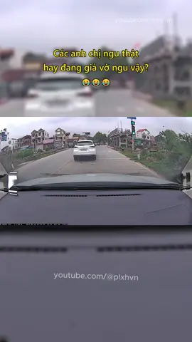 Các anh chị ngu thật hay đang giả vờ ngu vậy?😂 #giaothong #vanhoagiaothong #tinhhuonggiaothong #plxhvn #phapluatxahoi