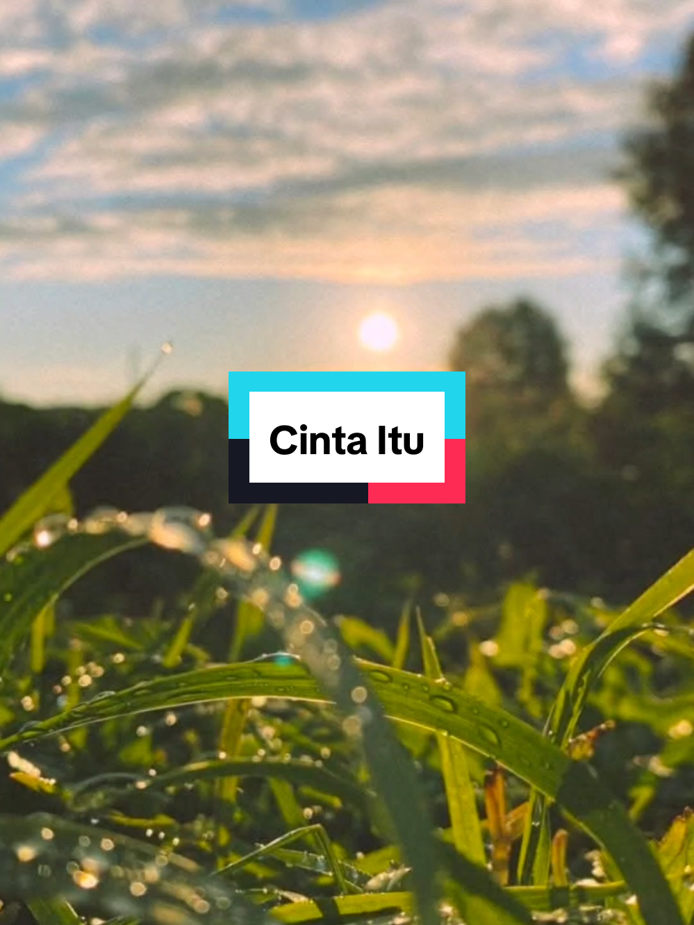 Cinta Itu #katakatamotivasi #katabijak #EkspresikanDenganCapCut #CapCut 