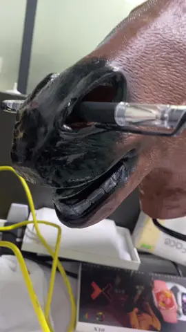 #horse #fyp#tiktok #tiktoks