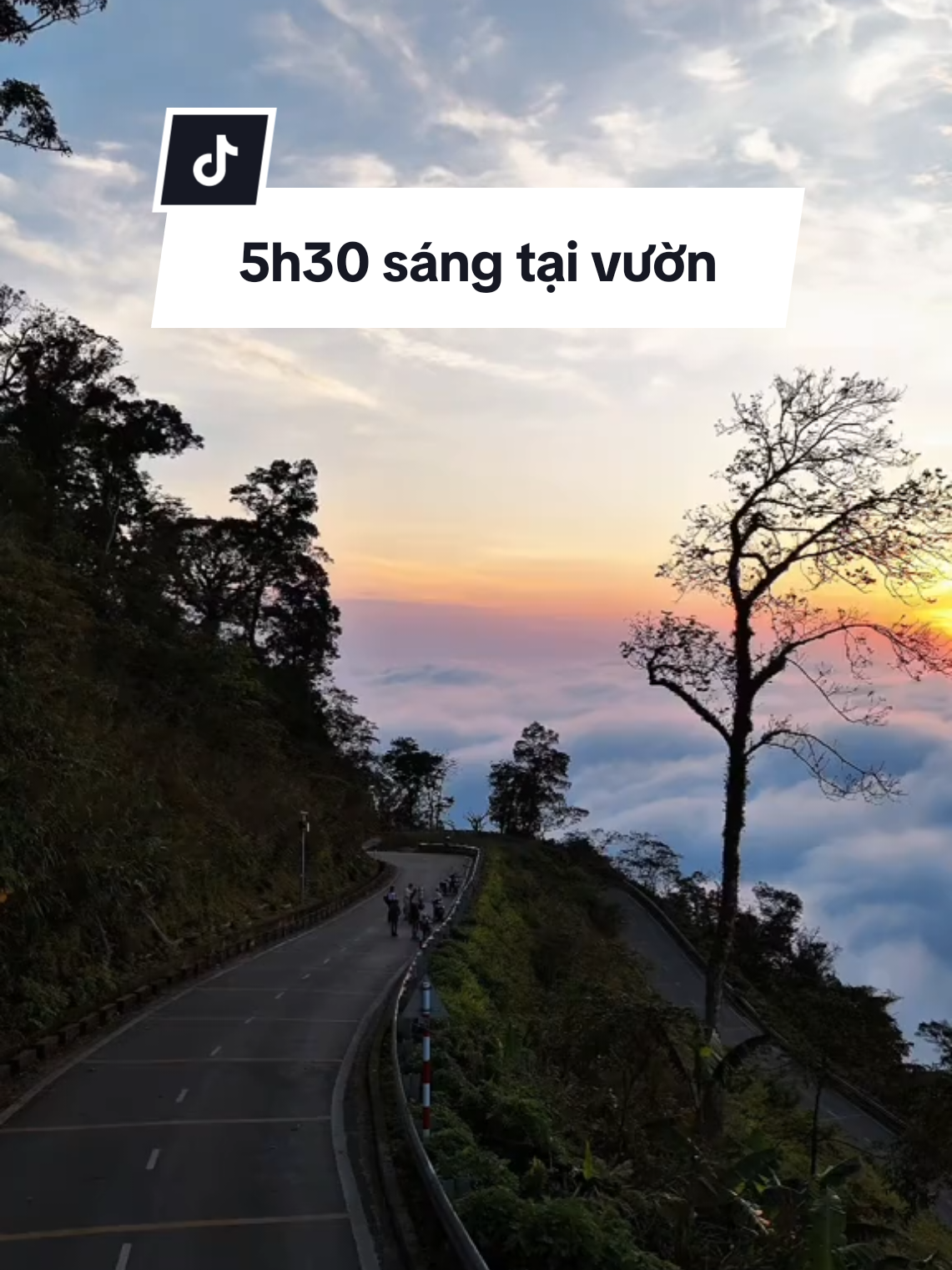 Ba Vì nó đẹp dị đó #vinhtrongtxt #thodiabaviofficial #hangthodiabavi #sanmaybavi #vuonquocgiabavi #trekkingbavi 