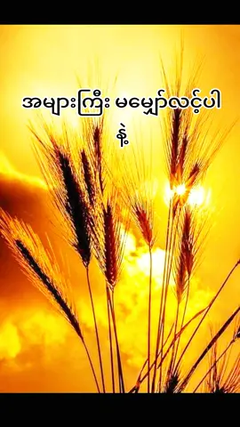 #🇲🇲 #fypシ゚ # For you #naing oo #အတွေးအခေါ်စာစုများ #မူရင်းရေးသားသူအားလေးစားစွာ credit ပေးပါတယ် #tik tok myanmar 
