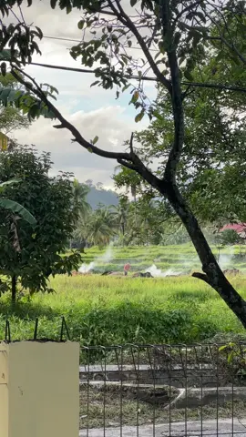 #minang #laguminang #storyminang #rayola #minangvibes #fyp #foryou #foryoupage 