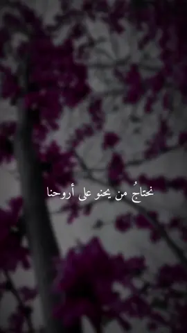 #خواطر #كلمات#مساء_الخير  #مساكم_سعادة_لاتنتهي 