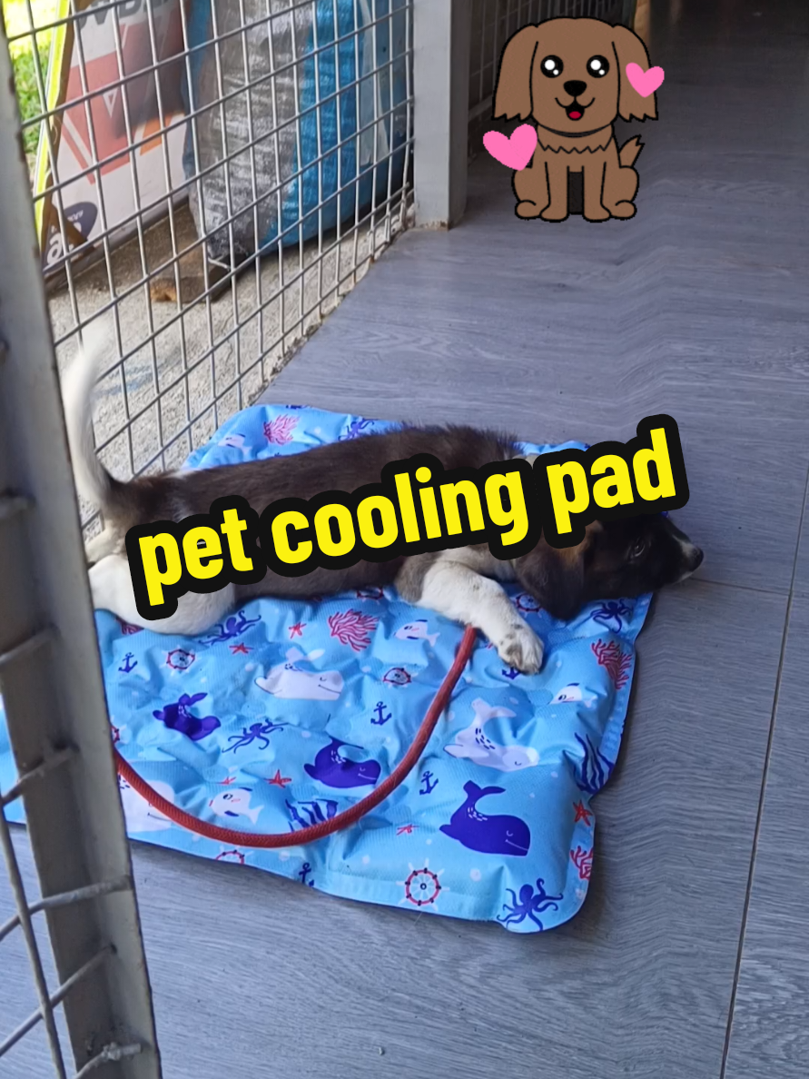 kung naiinitan ka, naiinitan din sila. #petcoolingpad #coolingpad #coolingpadforpet 