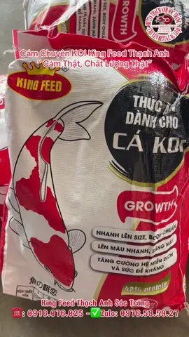 Thức Ăn Chuyên KOI KingFeed Thạch Anh. Cám Chất, Giá Tốt AE Nhé!