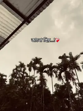 আমি যেহ তোমায় কতটুকু ভালোবাসি তা তুমি নিজেও জানো নাহ প্রিয় আমি তোমাকে ভালোবাসতে কোনো কারণ লাগে। না মানুষ তো তার প্রিয় মানুষ ভালোবাসতে ২০০ টা কারণ দেখায় কিন্তু আমি তোমাকে কোনো কারণ ছাড়াই নিজের জীবন এর চেও বেশি ভালোবাসি ❤️‍🩹🌸#fyppppppppppppppppppppppp #foryoupage #foryou #vairalvideo #@For You #@For You House ⍟ 