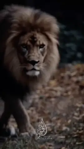 #العدناني_تقبله_الله 