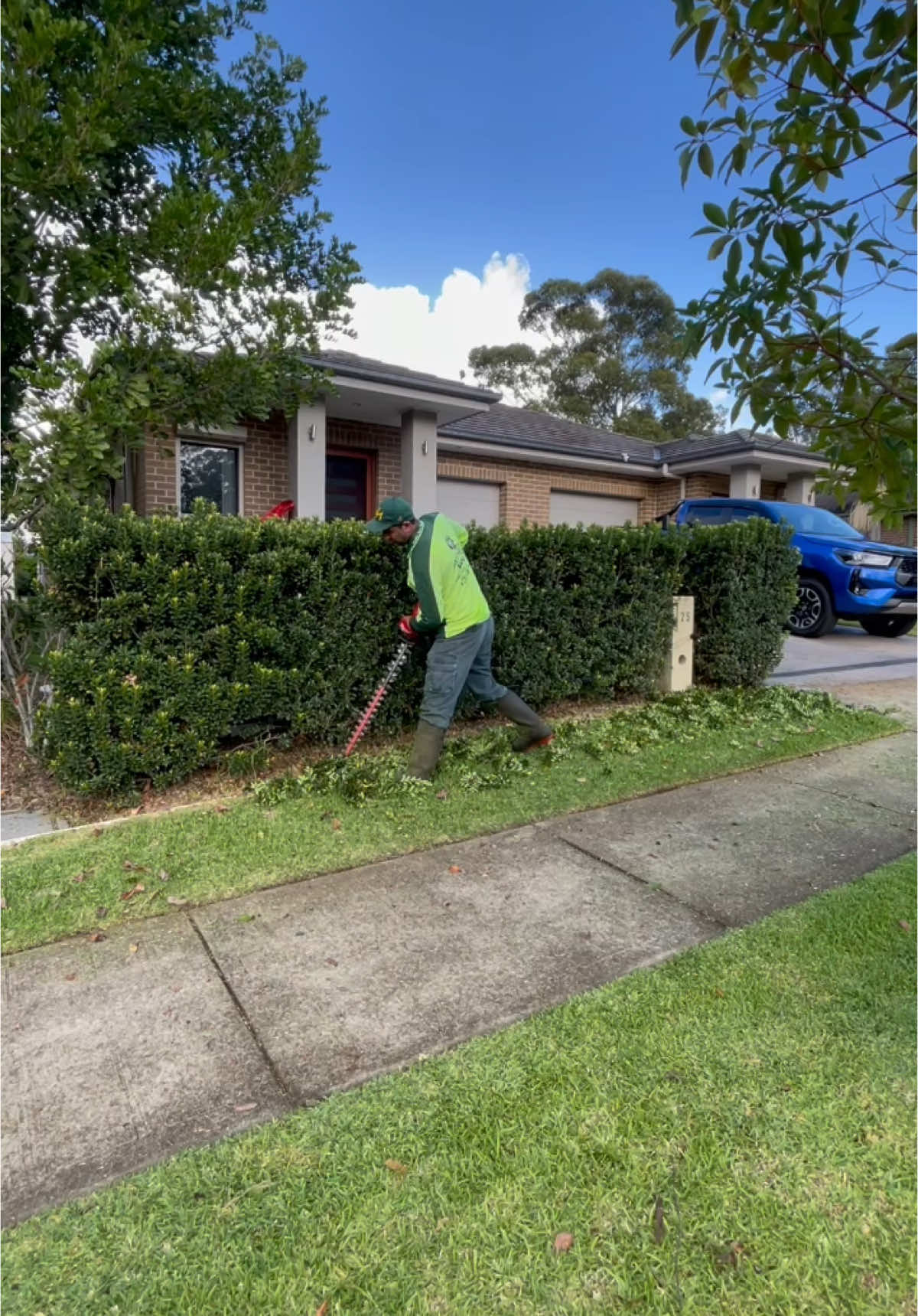 Hedge trimming ✂️🍃✂️ For more watching please follow: #davidsmowingsydney #milwaukee #milwaukeetools #milwaukeetoolsaus #beforeandafter #gardening #australia #sydney #hedgetrimming #trimmer #satisfying #trees #treetrimming #explore #transformation #makeover #asmr #dream #uk #usa #april #nature #forest #vote