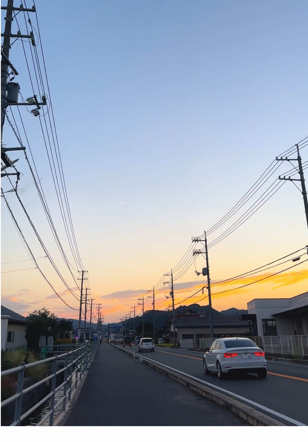 Я тебя люблю🇯🇵 #japan #japanstreet #birdsofafeather #animevoice #kenshuseijapan🇮🇩🇯🇵🎌 #fyp 
