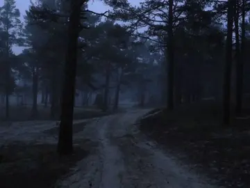 🥰🥰 // #songsslov #lyrics #fyp #on #song 