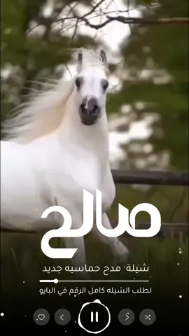 شيلة مدح باسم صالح جديد 2025 ##لطلب_الشيلات_  #شيلات#زواج#شيلات#تخرج#شيلات#موليد#شيلات#ترحيب#شيلات#لحن#مجرور#شيلات#عرضه-جنوبيه#شيلات#دحه#شماليه#شيلات#عروس#شيلات#ام#العروس#شيلات#ام#العريس#ترحيب#باضيوف#زفات#بلاسماء#سحب#حقوق#زفات#بدون# اسماء #عروس-عريس-زواج #شيبة-رقص-عريس-حماسيه #شيلةمدح #شيلات-زوج #تنفيذ-جديده #شيلات-ام-العريس #شيلات-ام-العروسه #شلات-تخرج- #شيلات-تخرج-عسكري- #شيلات-تقاعد #شيلات-مدح #شيلة-توضيف #شيلات-شفاءوسلامه #شيلات-فهد-العيباني #شيلات-مهنا-العتبي  #شيلات-فهد-بن-فصلان- #شيلات-جفران-بن-هضبان- #رقص-عروسه#تنفيذ-بلاسماء🎶🎶-شيلات-رقص-العروس-عروس-متعب-الخيال-مهنا-العتبي-حماسيه-رقص-للعروسه-شيلات-عريس-شيلات-تخرج-شيلات-ملكه-عقد-قران-شيلات-تقاعد-شيلات-تخرج-عسكريه-شيلات-سعد-محسن-شيلات-عبدالله-البرازي-شيلات-فهد-العيباني-2024 #شيلة#رقص#مهنا#صوت-متعب-الخيال-شيلات-رقص-عروس-شيلات-حماسيه-متعب-الخيال-شيلة-قومي-العبي-جديده-متعب-الخيال-حماسيه-شيلة-مدح-عروس#شيلات-عروس-حماسيه-شيلات_للعروس-مدح-حماسيه-شيلات-عروسه-جديده-شيلات-مدح-شيلات-زواج-شيلات-رقص-شيلات-عدعيد-الفطر-شيلات-عيد-الاضحي-شيلات-رمضان#شيلات_زواج_حماسيه_لايك_متابعه_اكسبلور 