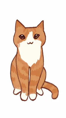 innocent little cat DESCENDING INTO SILLY⚠️⚠️⚠️ It's my version of the meme of the kitty going up to the camera and getting goofy! #cat #orangecat #catmeme #procreate #bleh #2danimation  #animation 