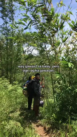 gawasan 2 losshahah 