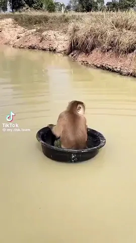 Hilminin intikamı 😂👍🎵