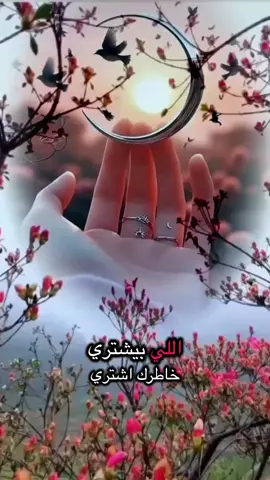 #كلام_من_ذهب #