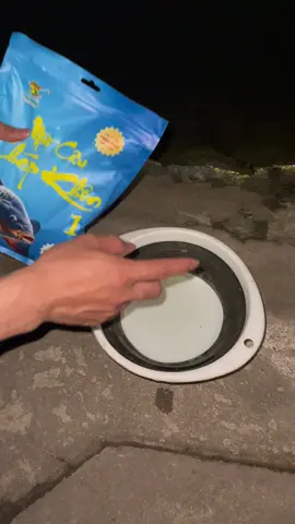 Cách pha mồi chép khôn phú thành , bài mồi câu chép dịch vụ tự nhiên #mtfishing #phúthanh 