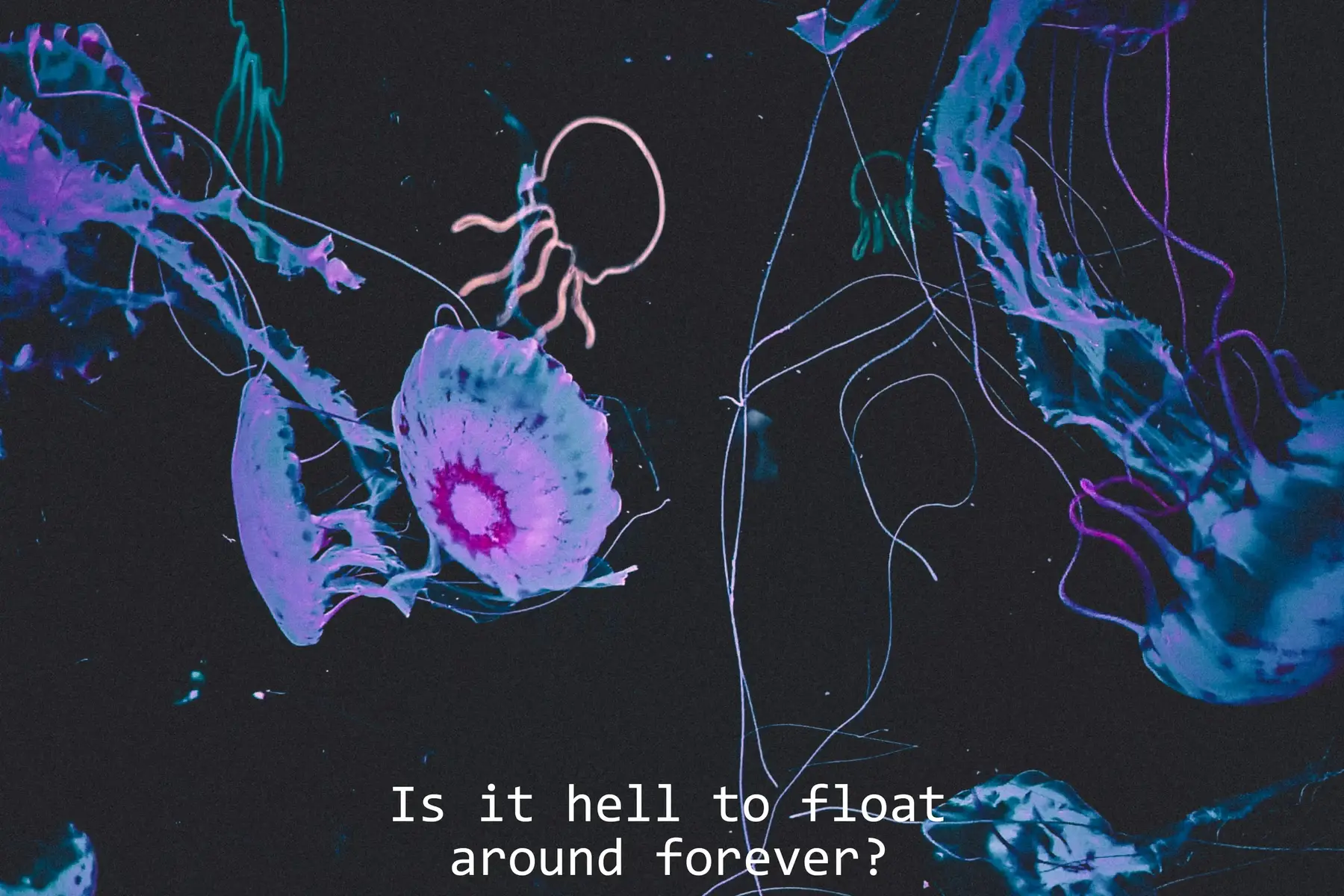 where its like yo🥀 #fyp #photo #photography #photos #cinematic 