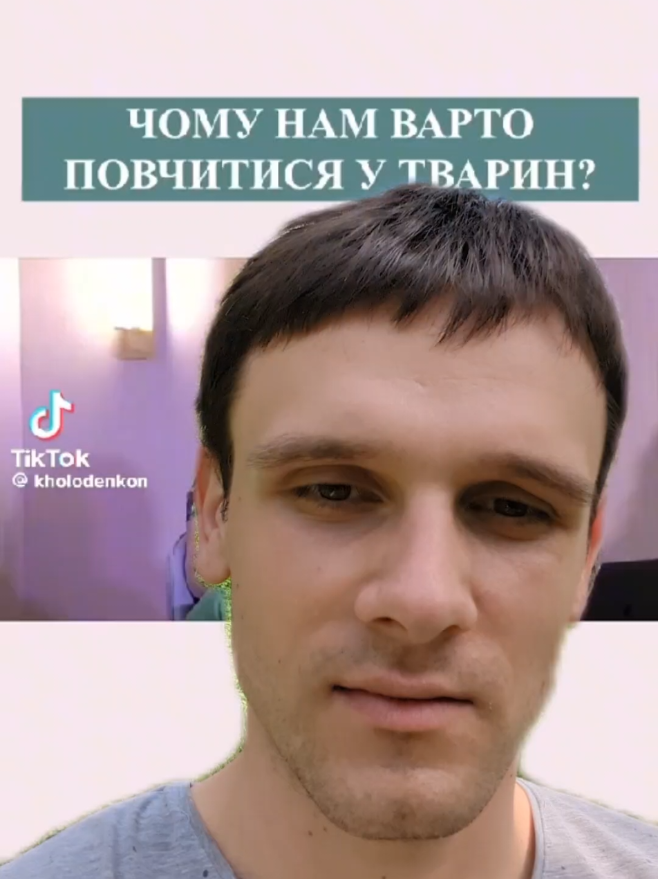🐵 #pettok #домашніулюбленці #animal #psychology 