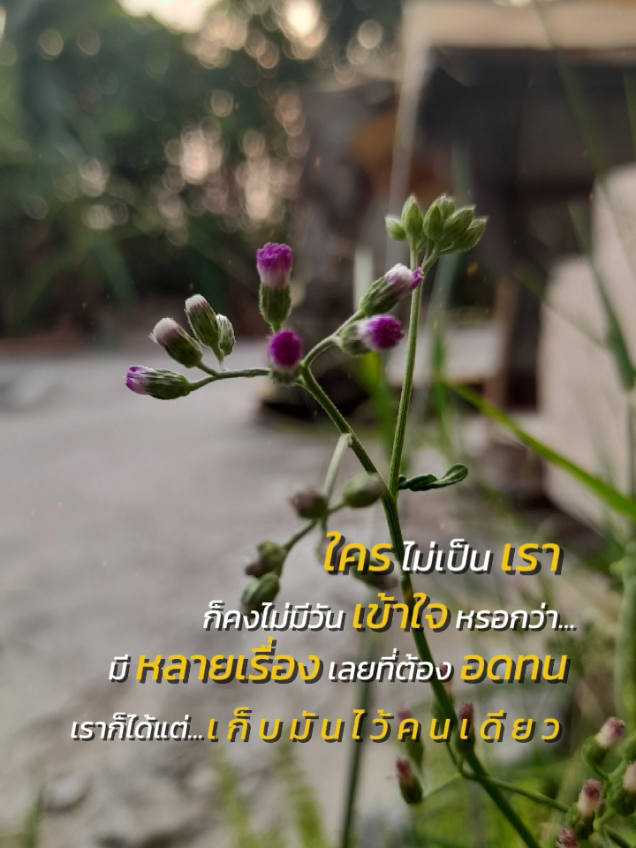 ใครไม่เป็นเราไม่มีวันเข้าใจ#CapCut #ใครไม่เป็นเราไม่เข้าใจหรอก😅🤣😂 #คำคม #คําพูดโดนๆ #คําคมความรู้สึก #สตอรี่ความรู้สึก #ฟีดดดシ #เทรนด์วันนี้ 