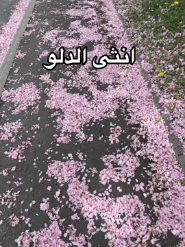 #الدلو #انثى_قوية #انثى #برج #قهوةبالحب☕♥️ #verseaux♒️#♒️ #مزاجيات #شخصيات #المغرب🇲🇦تونس🇹🇳الجزائر🇩🇿 #فرنسا🇨🇵_بلجيكا🇧🇪_المانيا🇩🇪_اسبانيا🇪🇸 #tiktoknews #fyp #goodvibes ##explore #vedioviral #lentejas #conseil #