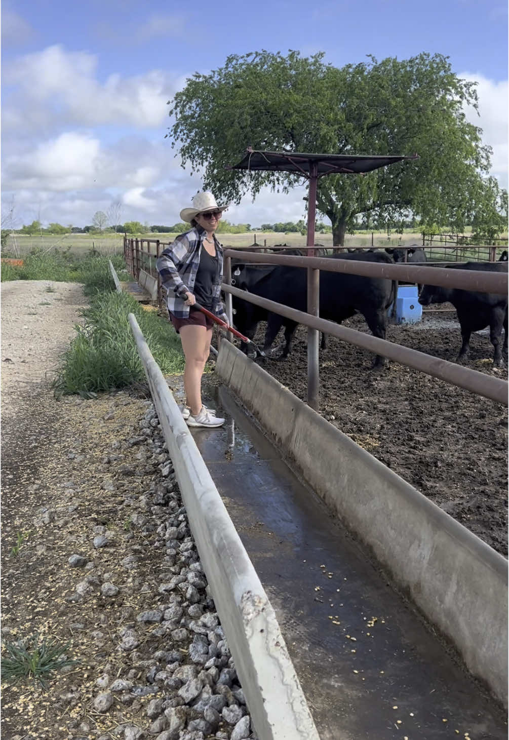 Checking in on our new elite employee #Ranch #Ranching #RanchHand #KeepRanchin 