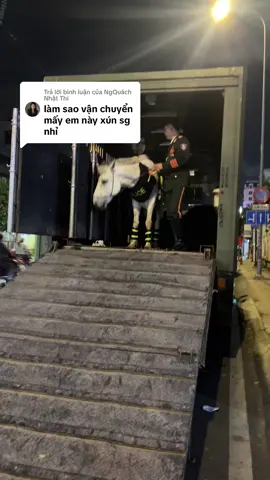 Trả lời @NgQuách Nhật Thi #ÚtNgáo #diễubinh #50nămgiaiphongmiennam #30tháng4 