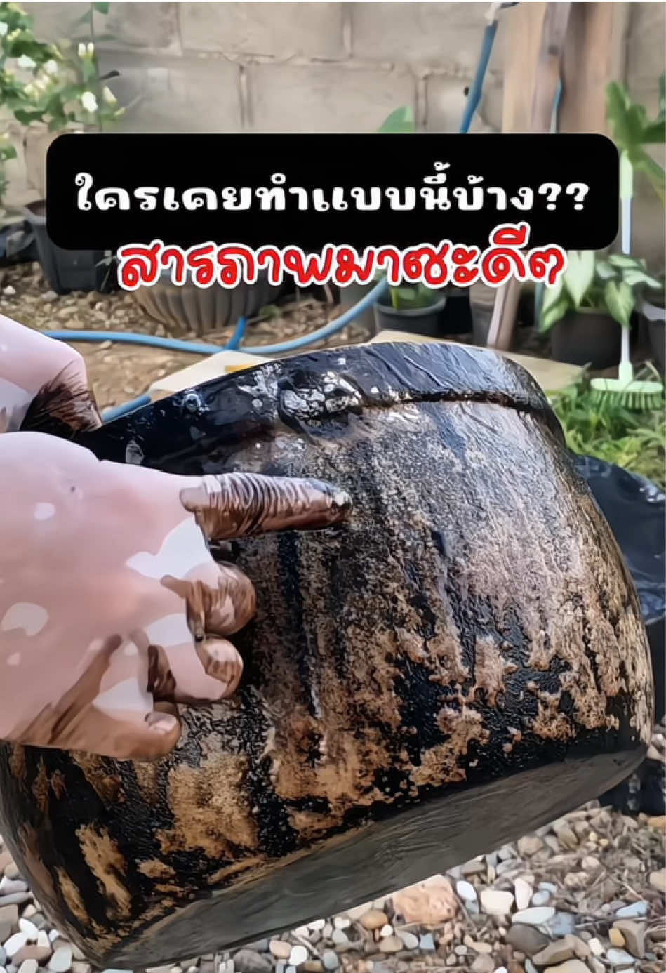 ใครเคยทำแบบนี้เหมือนกันบ้าง เปลี่ยนมาขัดได้แล้วขัดง่ายกว่าเยอะเลย #ขัดหม้อ #หม้อดำ #กระทะดํา #น้ํายาขัดหม้อดํา #น้ํายาขจัดคราบ #น้ํายาขจัดคราบอเนกประสงค์ #ใช้ดี #คุ้มมาก #fyp 