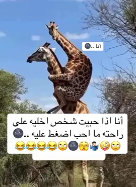 😂😂😂🙄🌚🤪🤷🏻‍♂️🫣