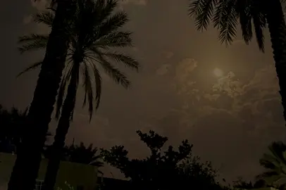 وفي ليلة نمت مصدقها😔🚶🏻‍♂️ #foryou #fyp #fypシ゚ #viral #no_music #تامر_عاشور #اغاني_بدون_موسيقى #بدون_موسيقى #شاشه_سوداء #تصميمي #ترند #هواجيس #mahmoud_ashraf🦅