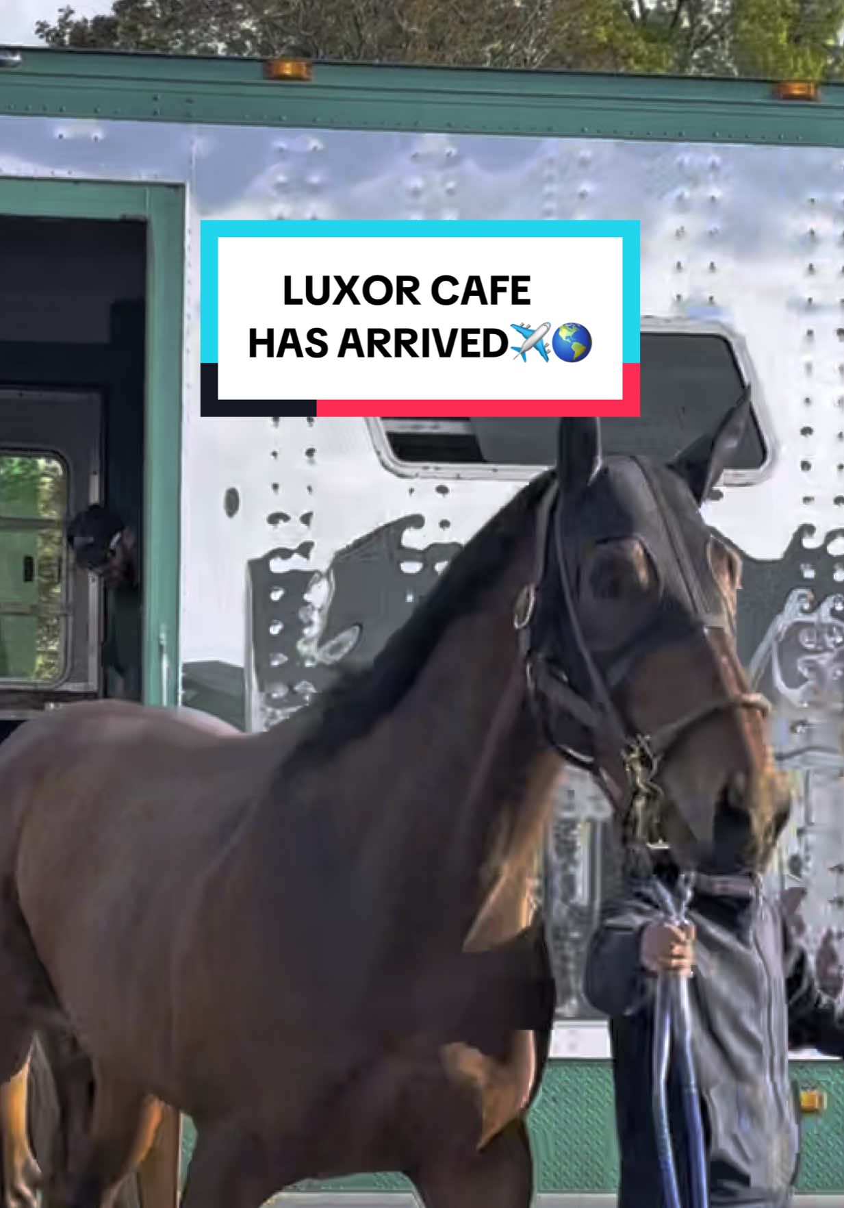 From across the world 🌎  Welcome Luxor Cafe!  #KentuckyDerby #Horse #Racing #Arrival #Cafe 