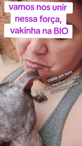 #abrigo #cavalo #cachorro #animal 