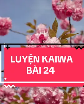 Luyện kaiwa bài 24 #jlptn3 #xuhuongtiktok #luyendichtiengnhat #jlptn4 #xkldnhatban #hoctiengnhatonline #xuhuong2025 #jlptn5 
