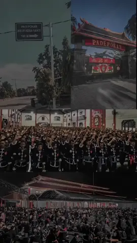 # wayae kembang mawar mekar🌹# pengesah'an iks pi kera sakti pusat madiun# iks pi cabang trenggalek# pengesah'an2025#ikspi_kerasakti1980 #