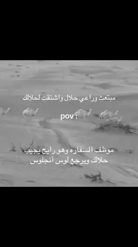 الله يقويهم#السفارة_السعودية #الامير_محمد_بن_سلمان #شعب_طويق #الشعب_السعودي #السعودية_العظمى #وزارة_الخارجية 