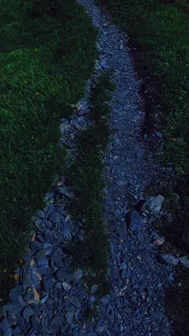 Go living your adventure knight 🏰⚔️ #fyp #darkfantasy #darkplace #anewworld #placesthatdontfeelreal #nature 