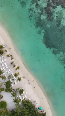 Roatan, Honduras 🇭🇳 #westbay #drone #island #ocean #fyp #views #roatan #honduras #palmtrees 