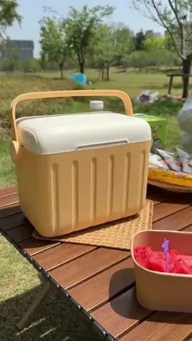 Mùa hè đi picnic phải có bình đá mini này #binhdamini #binhdadulich. #binhda #giadung #giadungtienich 