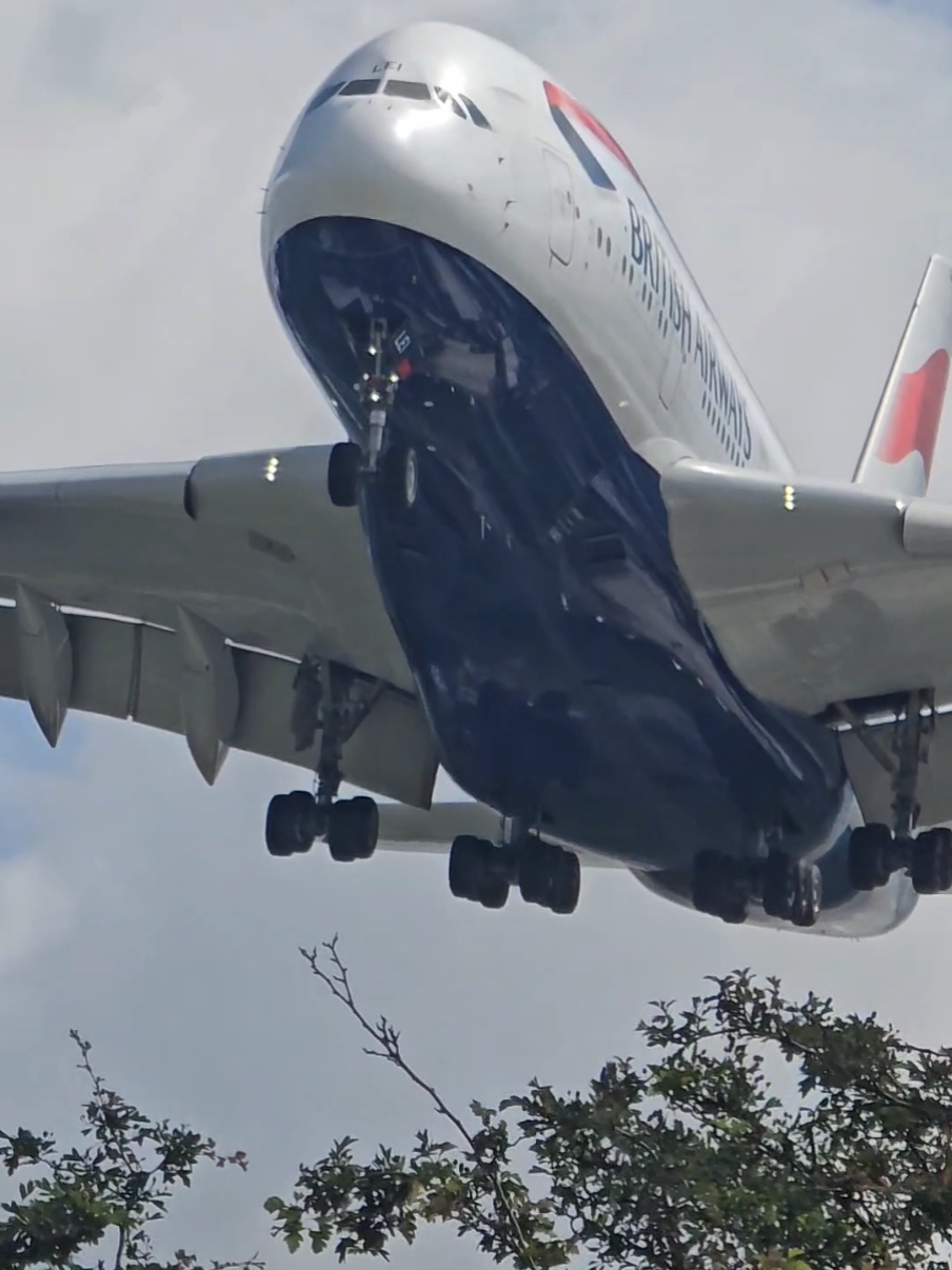 When a double decker giant came very close! 😱🛬...British Airbus A380 ✈️  #airbus #airbusa380 #airbuslovers #aviation #aviationlovers #aviationdaily #planespotting #avgeek #landing #view 