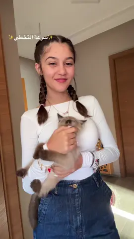 #explore #fyp #videoviral #trendingvideo #❤️ #cat #عاصي_الحلاني #arab #حب 