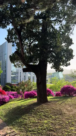 Tan học nào ⛅️#유학생활🇰🇷🇻🇳 #viral #가천대학교 