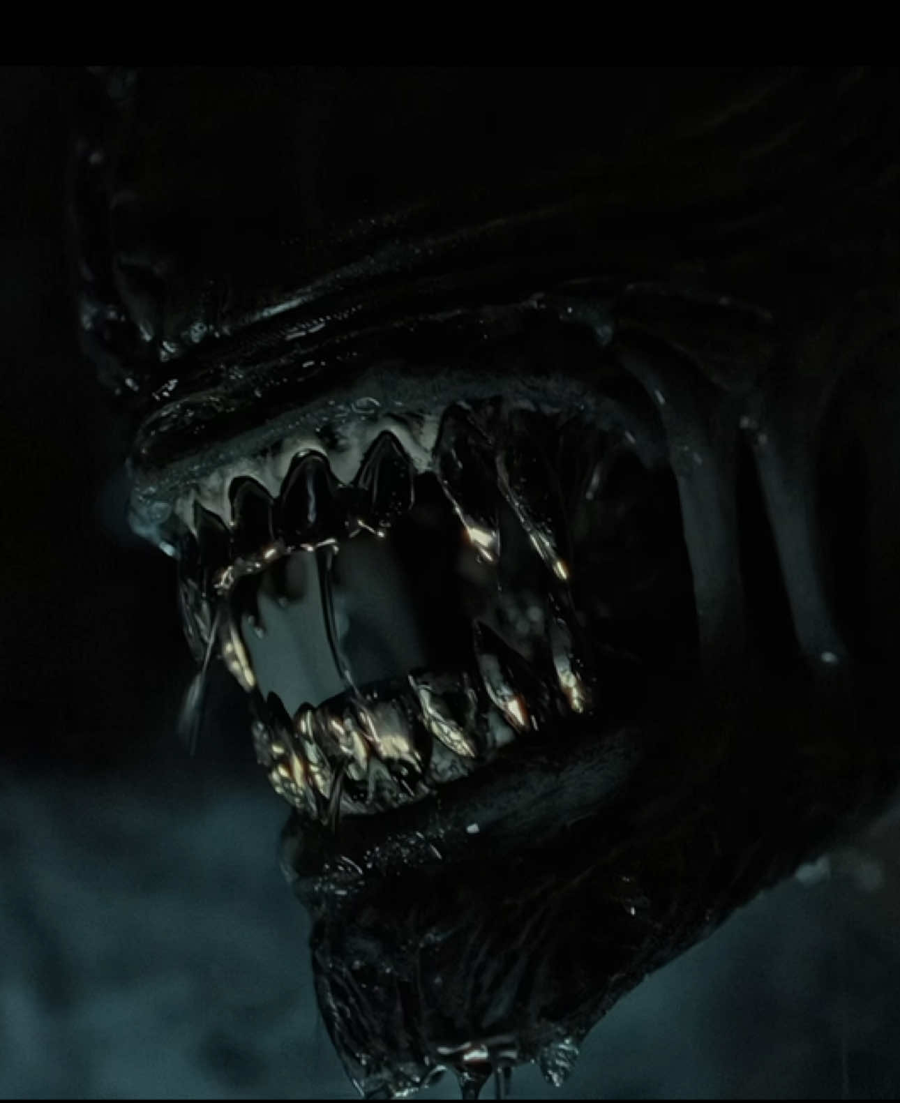 // Alien Romulus \\ #alien #alienromulus #alienromulusedit #edit #fyp 